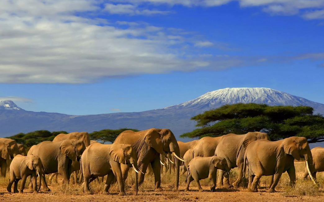 Kenya